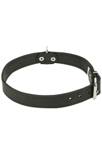 Obrázok pre Gappay - Kožený obojok 1 vrstva, 3cm, 45-55 cm VDV20