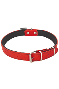 Obrázok pre Gappay - Obojok vodeodolný 25mm/46-61cm 084