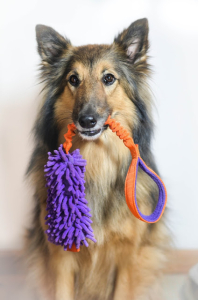 Obrázok pre Dog's Craft - Mopik Long