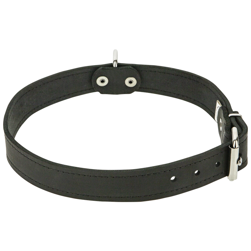 Obrázok pre Gappay - Kožený obojok 1 vrstva, 3cm, 45-55 cm VDV20