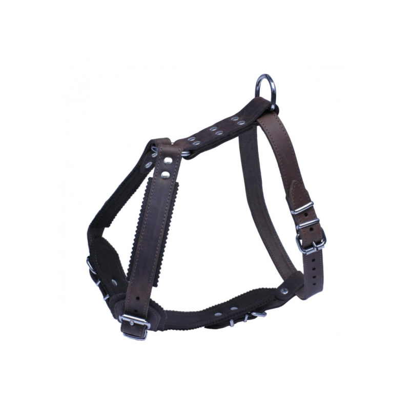 Obrázok pre Bafpet - Kožený postroj JAGO 25mmxOK48-69cmxOH68-81cm