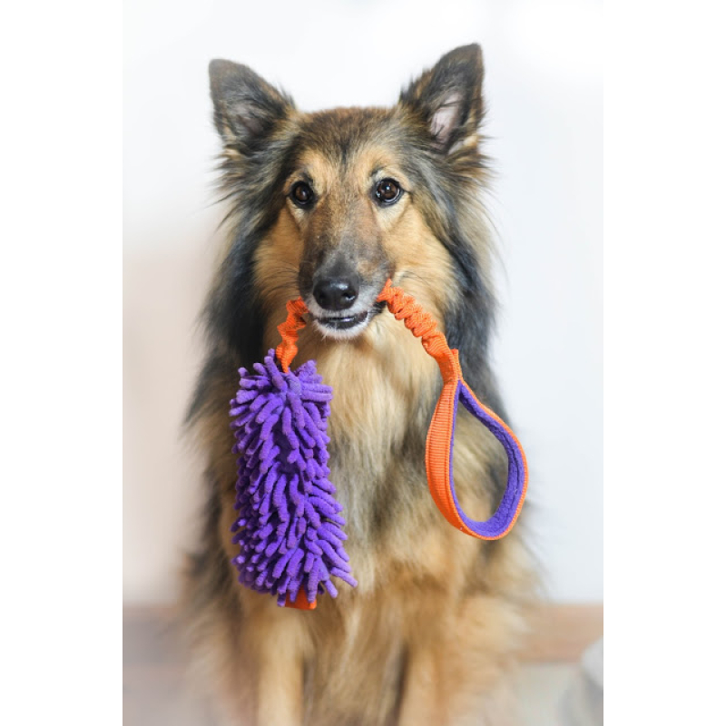 Obrázok pre Dog's Craft - Mopik Long