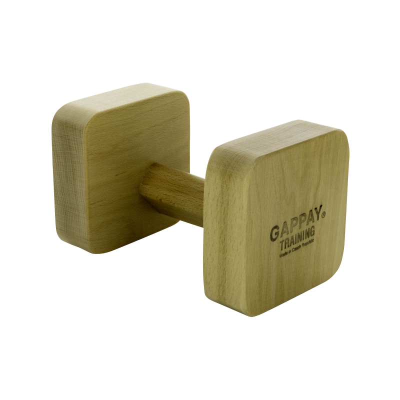 Obrázok pre Gappay - Aport FOLTYN 0951F